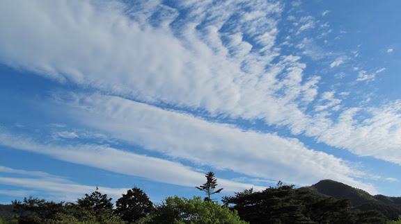 2012-05-16雲 丸慶屋上からの雲