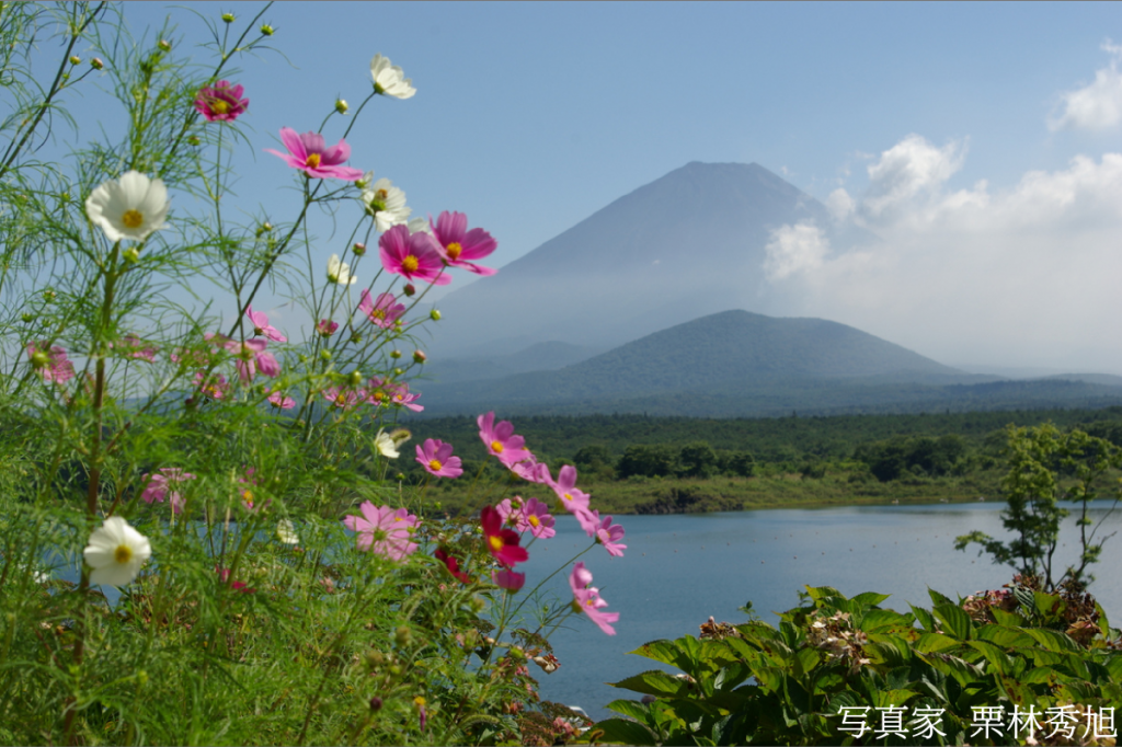 Facebookページに写真を追加しました！