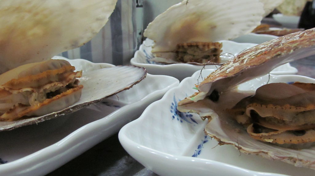 戴き物の帆立貝