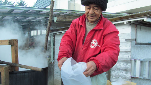 舞茸栽培（３）奮闘記