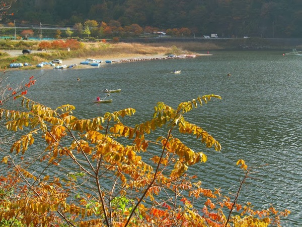 IMG_5381.JPG 紅葉(^O^)はじまってます!