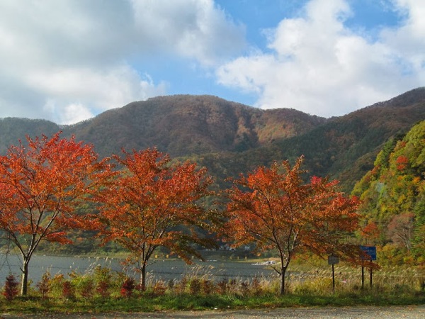 IMG_5393.JPG 紅葉(^O^)はじまってます!