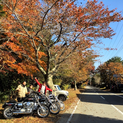 精進湖の樹海を紅葉ツーリング！