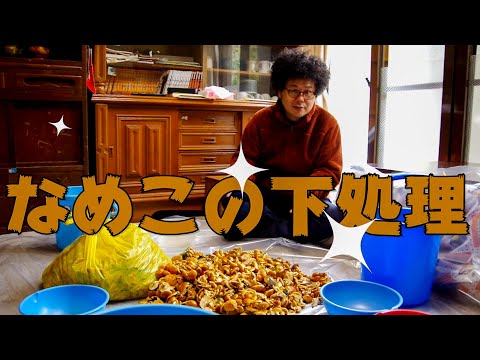 なめこ下処理