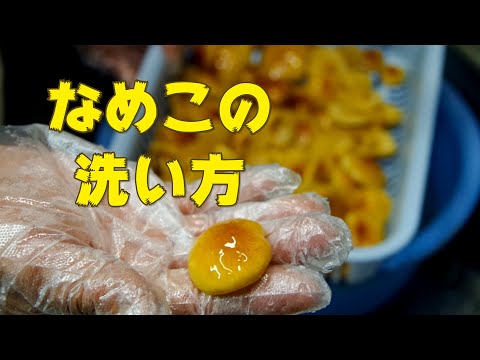 なめこの洗い方