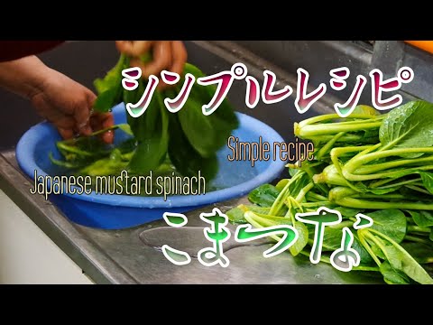 小松菜のおひたし【自家農園の野菜】Boiled Japanese Mustard Spinach on a private farm.