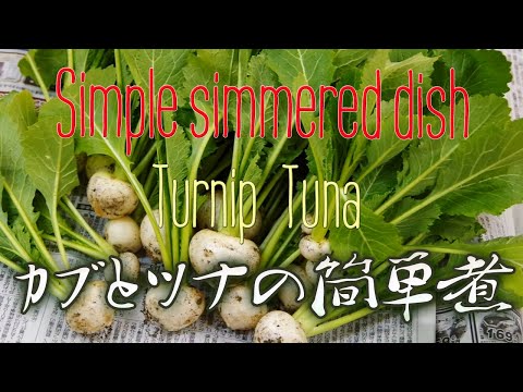 蕪とシーチキンの煮物【簡単料理】Simple simmered dish of turnip and tuna.