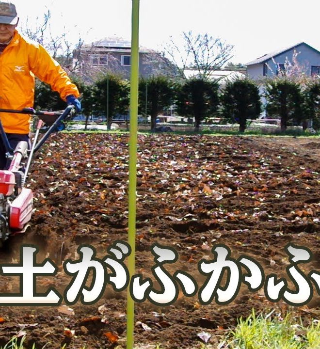 【腐葉土を作る】落ち葉を耕運機で畑に掻き混ぜるやり方