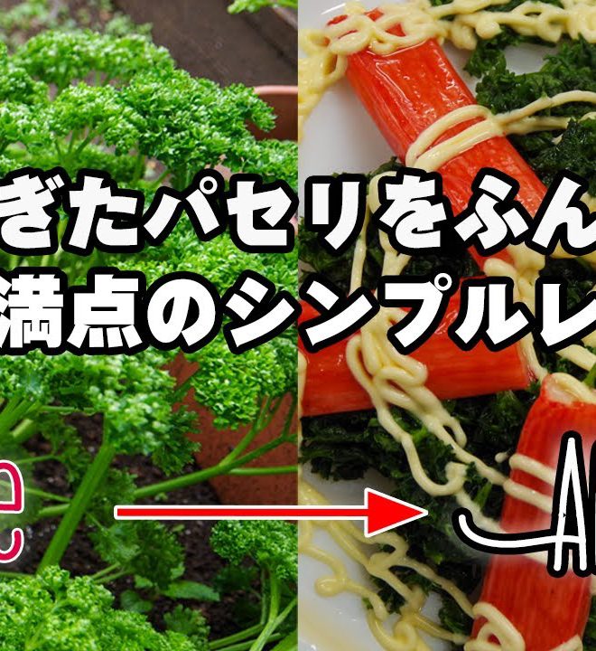 【パセリのサラダ】捨ててしまうのはもったいない！